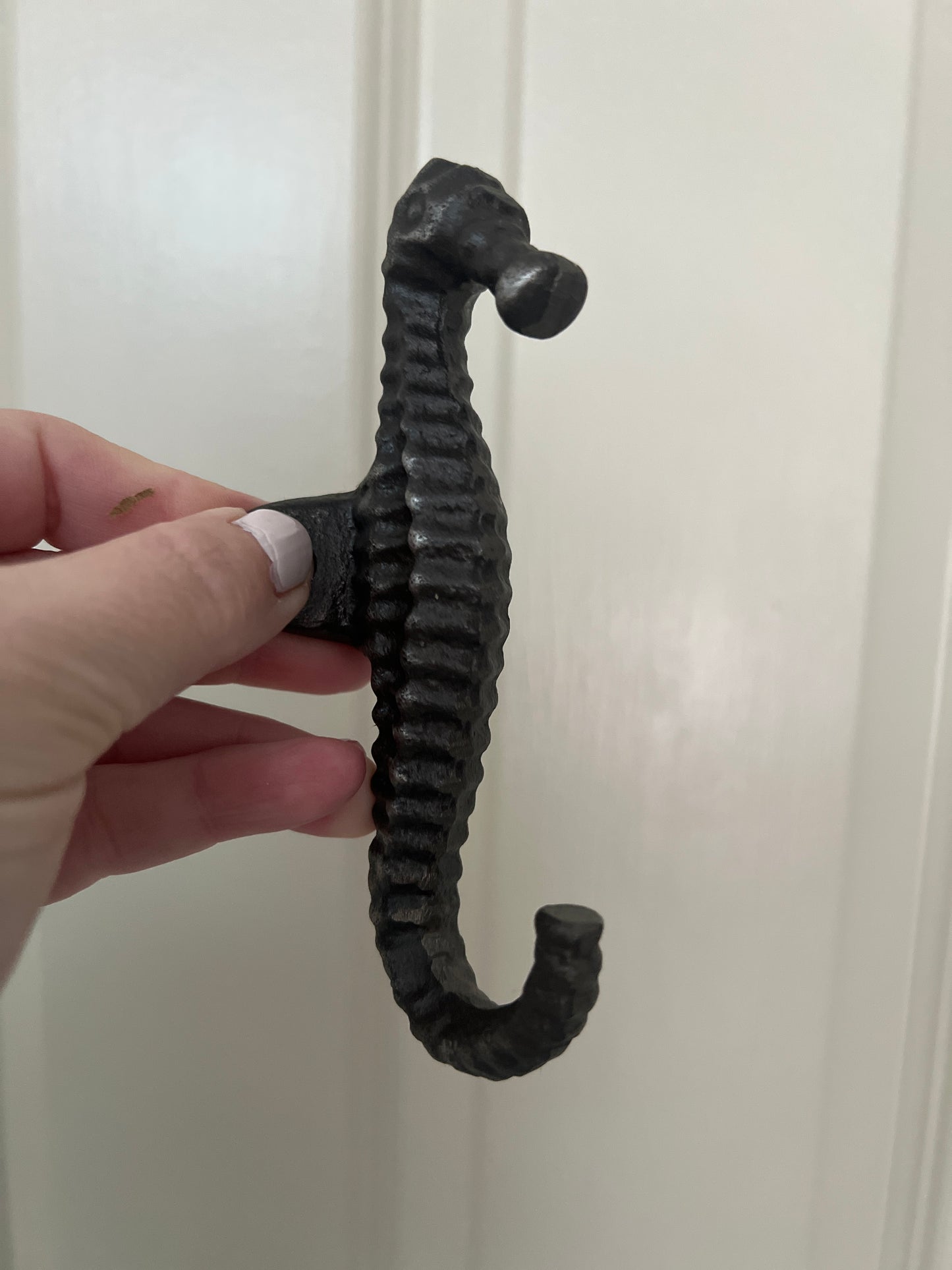 Cast iron seahorse door hook