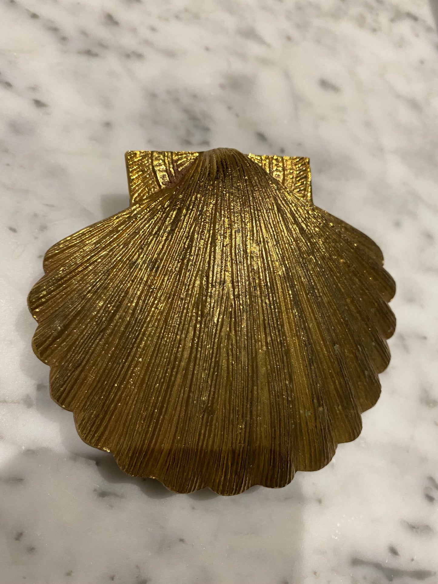 Scalloped Shell Natural brass door knocker