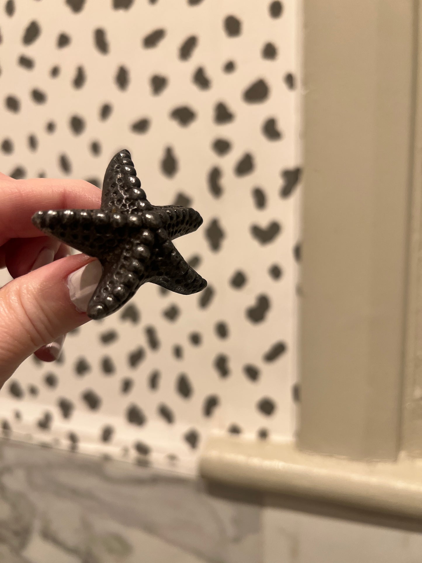 Starfish cabinet knob