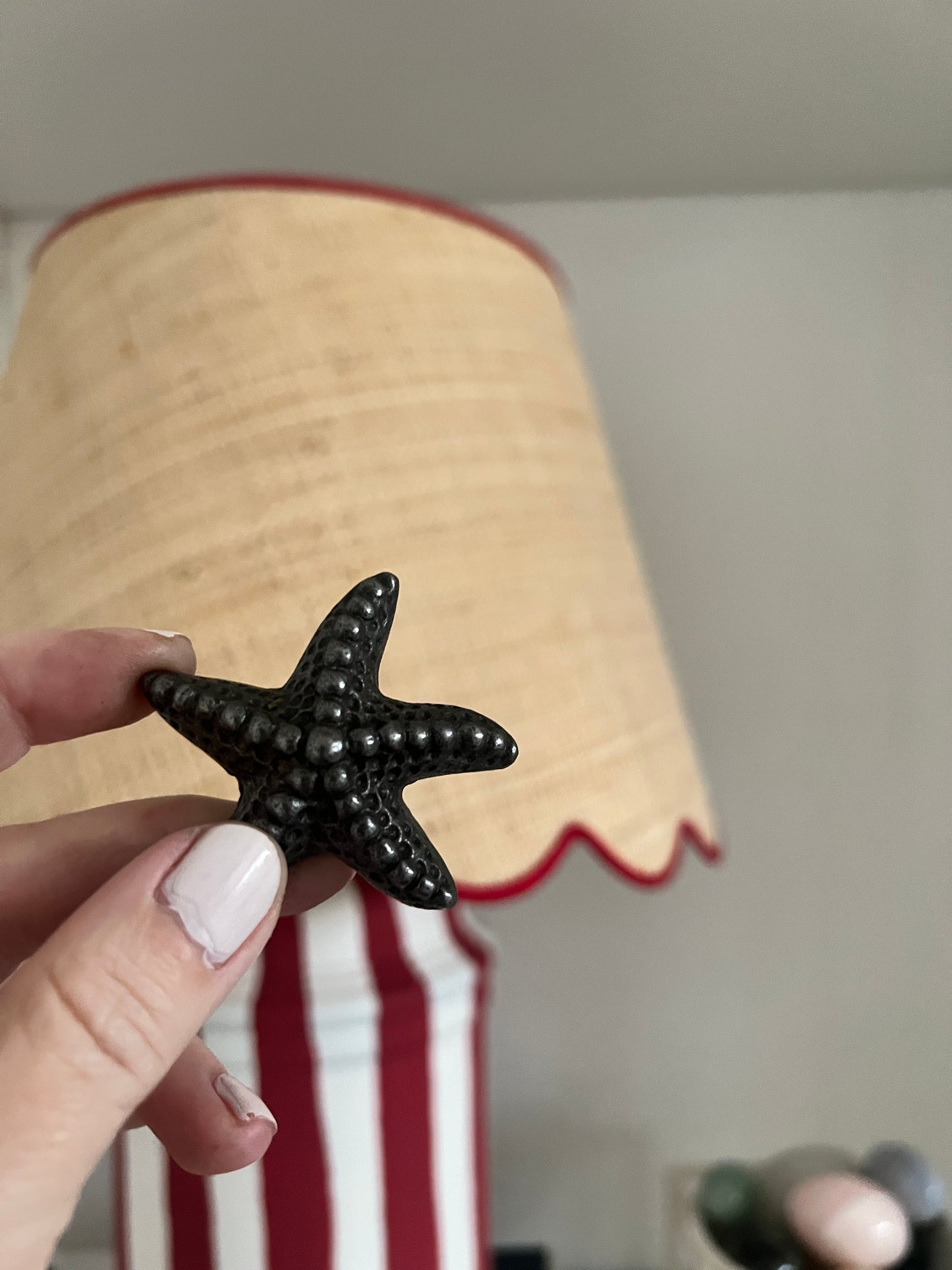 Starfish cabinet knob